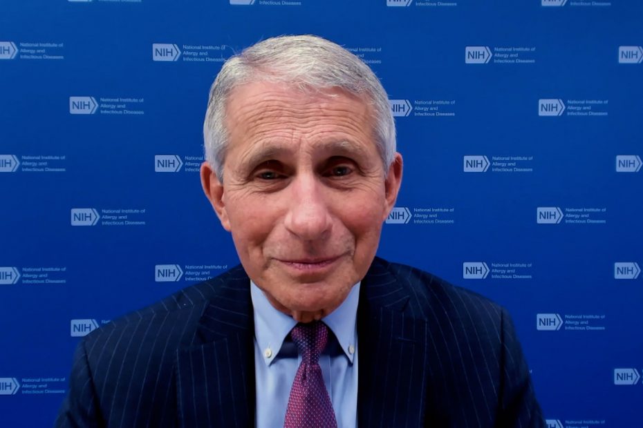 Fauci Dodges Question On Whether Biden Fit To Run For Reelection: ‘It’s A Personal Choice’