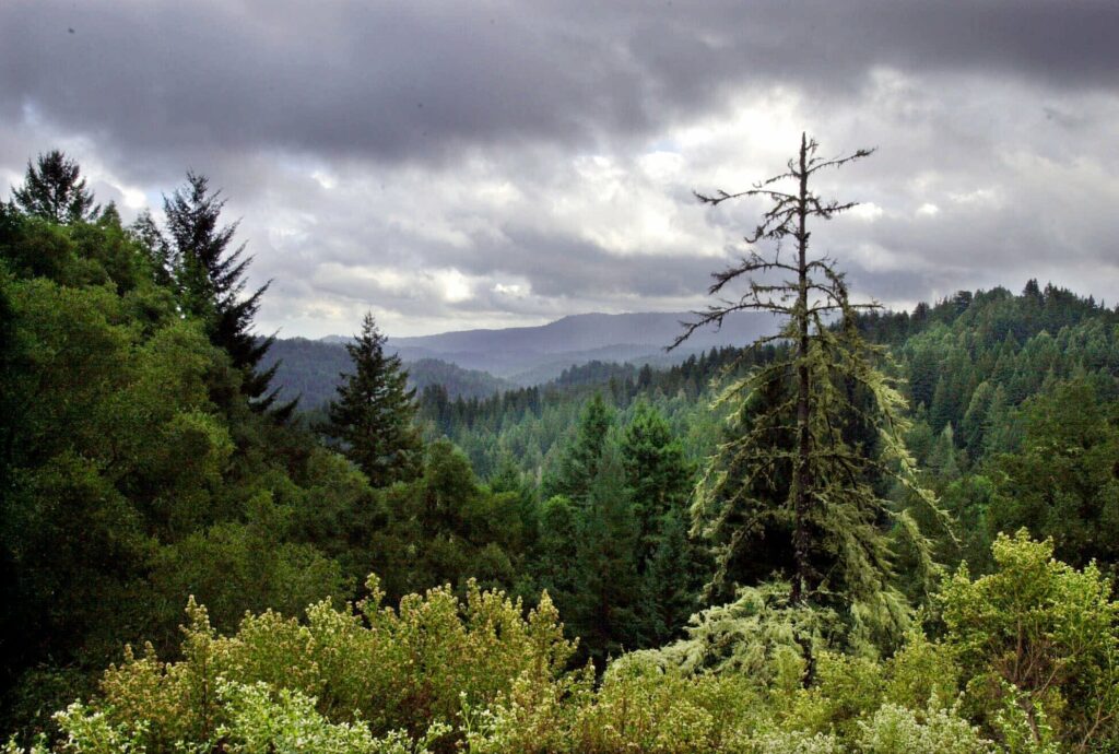 Smoky Mountains’ Highest Peak Returns To Native American Name